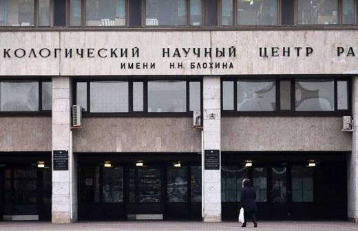 Блохи на чем живут. TASS 24158331. Блохи на чем живут фото. Блохи на чем живут-TASS 24158331. картинка Блохи на чем живут. картинка TASS 24158331.