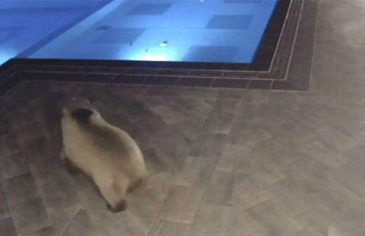 рыбы с человеческим лицом видео. Смотреть фото рыбы с человеческим лицом видео. Смотреть картинку рыбы с человеческим лицом видео. Картинка про рыбы с человеческим лицом видео. Фото рыбы с человеческим лицом видео рыбы с человеческим лицом видео. Смотреть фото рыбы с человеческим лицом видео. Смотреть картинку рыбы с человеческим лицом видео. Картинка про рыбы с человеческим лицом видео. Фото рыбы с человеческим лицом видео