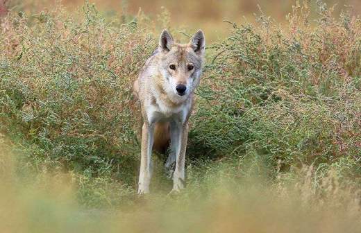 рыбы с человеческим лицом видео. Смотреть фото рыбы с человеческим лицом видео. Смотреть картинку рыбы с человеческим лицом видео. Картинка про рыбы с человеческим лицом видео. Фото рыбы с человеческим лицом видео рыбы с человеческим лицом видео. Смотреть фото рыбы с человеческим лицом видео. Смотреть картинку рыбы с человеческим лицом видео. Картинка про рыбы с человеческим лицом видео. Фото рыбы с человеческим лицом видео