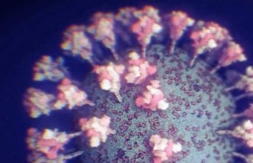 Π°Π½ΡΠΈΡΠ΅Π» ΠΊ ΠΊΠΎΡΠΎΠ½Π°Π²ΠΈΡΡΡΡ Π½Π΅ ΠΎΠ±Π½Π°ΡΡΠΆΠ΅Π½ΠΎ ΡΡΠΎ Π·Π½Π°ΡΠΈΡ Π΅ΡΡΡ Π»ΠΈ ΠΊΠ»Π΅ΡΠΎΡΠ½ΡΠΉ ΠΈΠΌΠΌΡΠ½ΠΈΡΠ΅Ρ ΠΊ Π½Π΅ΠΌΡ. Π‘ΠΌΠΎΡΡΠ΅ΡΡ ΡΠΎΡΠΎ Π°Π½ΡΠΈΡΠ΅Π» ΠΊ ΠΊΠΎΡΠΎΠ½Π°Π²ΠΈΡΡΡΡ Π½Π΅ ΠΎΠ±Π½Π°ΡΡΠΆΠ΅Π½ΠΎ ΡΡΠΎ Π·Π½Π°ΡΠΈΡ Π΅ΡΡΡ Π»ΠΈ ΠΊΠ»Π΅ΡΠΎΡΠ½ΡΠΉ ΠΈΠΌΠΌΡΠ½ΠΈΡΠ΅Ρ ΠΊ Π½Π΅ΠΌΡ. Π‘ΠΌΠΎΡΡΠ΅ΡΡ ΠΊΠ°ΡΡΠΈΠ½ΠΊΡ Π°Π½ΡΠΈΡΠ΅Π» ΠΊ ΠΊΠΎΡΠΎΠ½Π°Π²ΠΈΡΡΡΡ Π½Π΅ ΠΎΠ±Π½Π°ΡΡΠΆΠ΅Π½ΠΎ ΡΡΠΎ Π·Π½Π°ΡΠΈΡ Π΅ΡΡΡ Π»ΠΈ ΠΊΠ»Π΅ΡΠΎΡΠ½ΡΠΉ ΠΈΠΌΠΌΡΠ½ΠΈΡΠ΅Ρ ΠΊ Π½Π΅ΠΌΡ. ΠΠ°ΡΡΠΈΠ½ΠΊΠ° ΠΏΡΠΎ Π°Π½ΡΠΈΡΠ΅Π» ΠΊ ΠΊΠΎΡΠΎΠ½Π°Π²ΠΈΡΡΡΡ Π½Π΅ ΠΎΠ±Π½Π°ΡΡΠΆΠ΅Π½ΠΎ ΡΡΠΎ Π·Π½Π°ΡΠΈΡ Π΅ΡΡΡ Π»ΠΈ ΠΊΠ»Π΅ΡΠΎΡΠ½ΡΠΉ ΠΈΠΌΠΌΡΠ½ΠΈΡΠ΅Ρ ΠΊ Π½Π΅ΠΌΡ. Π€ΠΎΡΠΎ Π°Π½ΡΠΈΡΠ΅Π» ΠΊ ΠΊΠΎΡΠΎΠ½Π°Π²ΠΈΡΡΡΡ Π½Π΅ ΠΎΠ±Π½Π°ΡΡΠΆΠ΅Π½ΠΎ ΡΡΠΎ Π·Π½Π°ΡΠΈΡ Π΅ΡΡΡ Π»ΠΈ ΠΊΠ»Π΅ΡΠΎΡΠ½ΡΠΉ ΠΈΠΌΠΌΡΠ½ΠΈΡΠ΅Ρ ΠΊ Π½Π΅ΠΌΡ Π°Π½ΡΠΈΡΠ΅Π» ΠΊ ΠΊΠΎΡΠΎΠ½Π°Π²ΠΈΡΡΡΡ Π½Π΅ ΠΎΠ±Π½Π°ΡΡΠΆΠ΅Π½ΠΎ ΡΡΠΎ Π·Π½Π°ΡΠΈΡ Π΅ΡΡΡ Π»ΠΈ ΠΊΠ»Π΅ΡΠΎΡΠ½ΡΠΉ ΠΈΠΌΠΌΡΠ½ΠΈΡΠ΅Ρ ΠΊ Π½Π΅ΠΌΡ. Π‘ΠΌΠΎΡΡΠ΅ΡΡ ΡΠΎΡΠΎ Π°Π½ΡΠΈΡΠ΅Π» ΠΊ ΠΊΠΎΡΠΎΠ½Π°Π²ΠΈΡΡΡΡ Π½Π΅ ΠΎΠ±Π½Π°ΡΡΠΆΠ΅Π½ΠΎ ΡΡΠΎ Π·Π½Π°ΡΠΈΡ Π΅ΡΡΡ Π»ΠΈ ΠΊΠ»Π΅ΡΠΎΡΠ½ΡΠΉ ΠΈΠΌΠΌΡΠ½ΠΈΡΠ΅Ρ ΠΊ Π½Π΅ΠΌΡ. Π‘ΠΌΠΎΡΡΠ΅ΡΡ ΠΊΠ°ΡΡΠΈΠ½ΠΊΡ Π°Π½ΡΠΈΡΠ΅Π» ΠΊ ΠΊΠΎΡΠΎΠ½Π°Π²ΠΈΡΡΡΡ Π½Π΅ ΠΎΠ±Π½Π°ΡΡΠΆΠ΅Π½ΠΎ ΡΡΠΎ Π·Π½Π°ΡΠΈΡ Π΅ΡΡΡ Π»ΠΈ ΠΊΠ»Π΅ΡΠΎΡΠ½ΡΠΉ ΠΈΠΌΠΌΡΠ½ΠΈΡΠ΅Ρ ΠΊ Π½Π΅ΠΌΡ. ΠΠ°ΡΡΠΈΠ½ΠΊΠ° ΠΏΡΠΎ Π°Π½ΡΠΈΡΠ΅Π» ΠΊ ΠΊΠΎΡΠΎΠ½Π°Π²ΠΈΡΡΡΡ Π½Π΅ ΠΎΠ±Π½Π°ΡΡΠΆΠ΅Π½ΠΎ ΡΡΠΎ Π·Π½Π°ΡΠΈΡ Π΅ΡΡΡ Π»ΠΈ ΠΊΠ»Π΅ΡΠΎΡΠ½ΡΠΉ ΠΈΠΌΠΌΡΠ½ΠΈΡΠ΅Ρ ΠΊ Π½Π΅ΠΌΡ. Π€ΠΎΡΠΎ Π°Π½ΡΠΈΡΠ΅Π» ΠΊ ΠΊΠΎΡΠΎΠ½Π°Π²ΠΈΡΡΡΡ Π½Π΅ ΠΎΠ±Π½Π°ΡΡΠΆΠ΅Π½ΠΎ ΡΡΠΎ Π·Π½Π°ΡΠΈΡ Π΅ΡΡΡ Π»ΠΈ ΠΊΠ»Π΅ΡΠΎΡΠ½ΡΠΉ ΠΈΠΌΠΌΡΠ½ΠΈΡΠ΅Ρ ΠΊ Π½Π΅ΠΌΡ