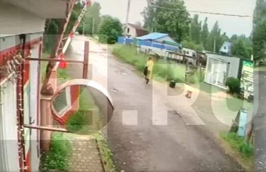 Подозреваемый в убийстве 12-летней девочки в Ленобласти доставлен в суд