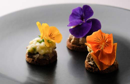 пробовать жизнь на вкус. Смотреть фото пробовать жизнь на вкус. Смотреть картинку пробовать жизнь на вкус. Картинка про пробовать жизнь на вкус. Фото пробовать жизнь на вкус