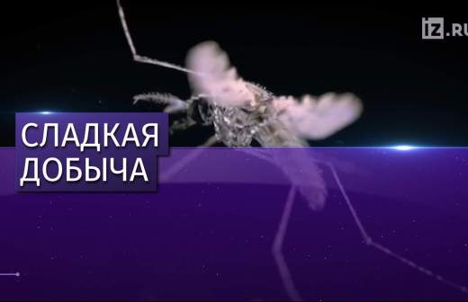 Какие группы крови редкие