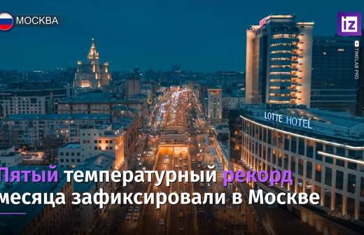 что сейчас цветет в калининградской области
