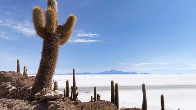 Добыча соли на солончаке Уюни