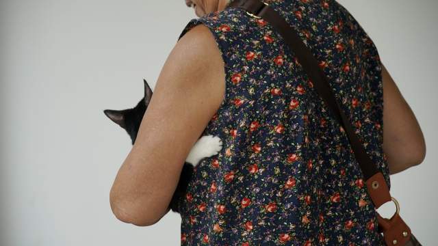 Акупунктура для животных в Китае