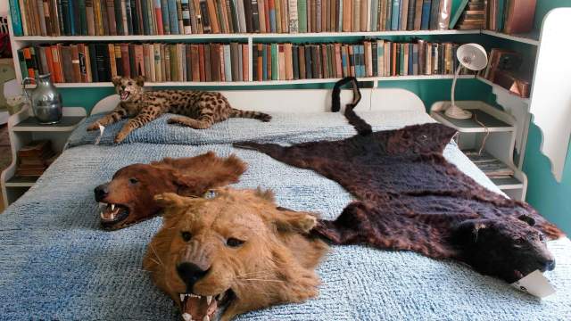 Хемингуэй и его дом на Кубе