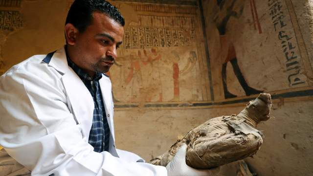 Раскопки в Египте