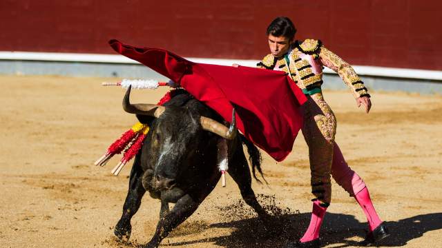 Сезон корриды в Испании