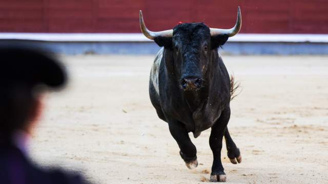 Сезон корриды в Испании