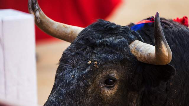 Сезон корриды в Испании