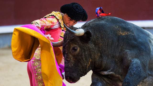 Сезон корриды в Испании