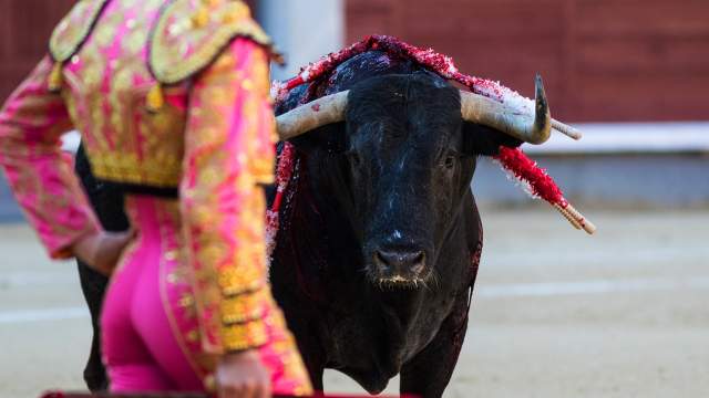 Сезон корриды в Испании