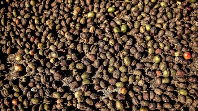 Кофейные зерна