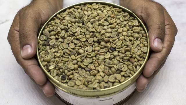 Кофейная плантация в Бразилии