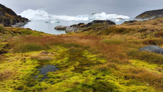 Гренландия