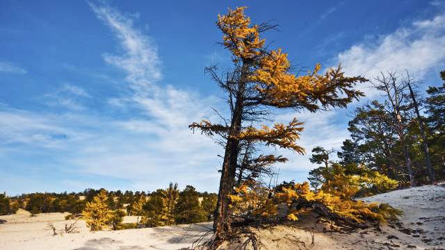 Байкальская осень
