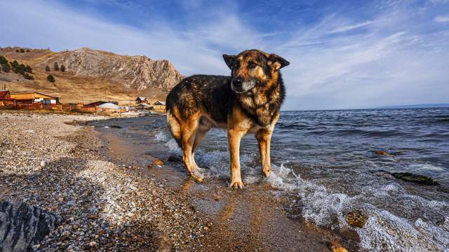 Байкальская осень