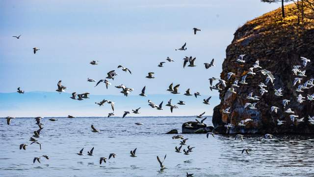 Байкальская осень