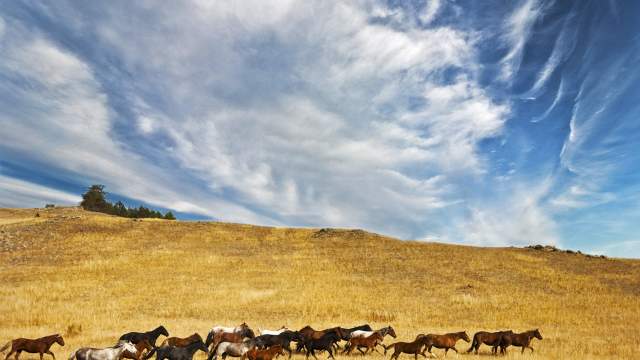 Байкальская осень