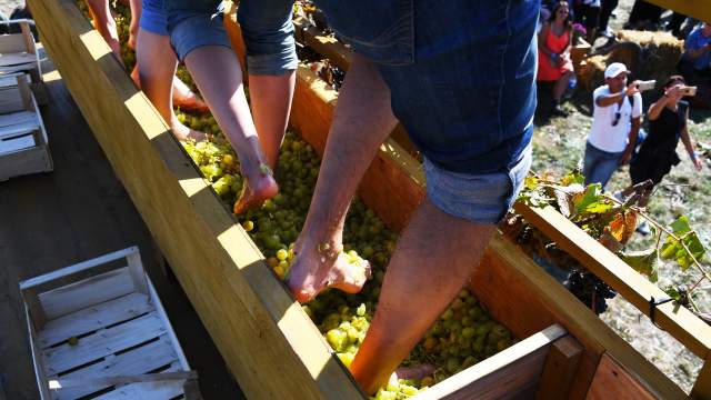 Фестиваль WineFest 