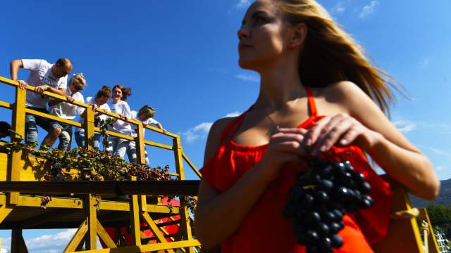 Фестиваль WineFest 