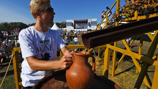 Фестиваль WineFest 