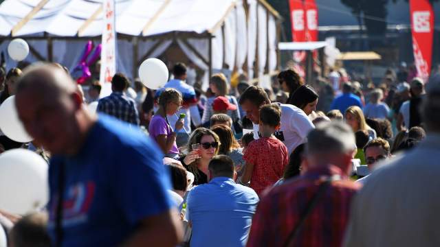 Фестиваль WineFest 