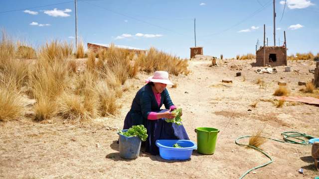 Выборы президента в Боливии