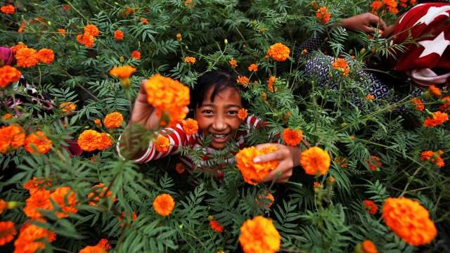 Фестиваль «Дивали» в Индии