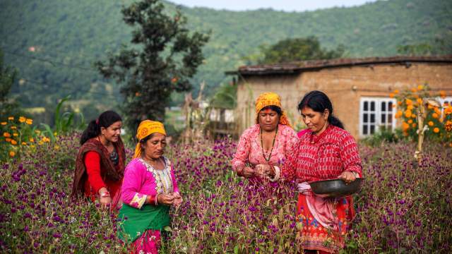 Фестиваль «Дивали» в Индии