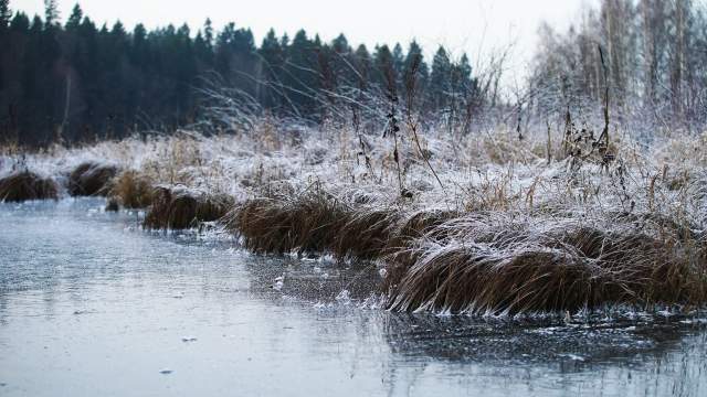 Усадьба Абрамцево
