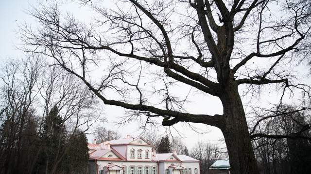 Усадьба Абрамцево