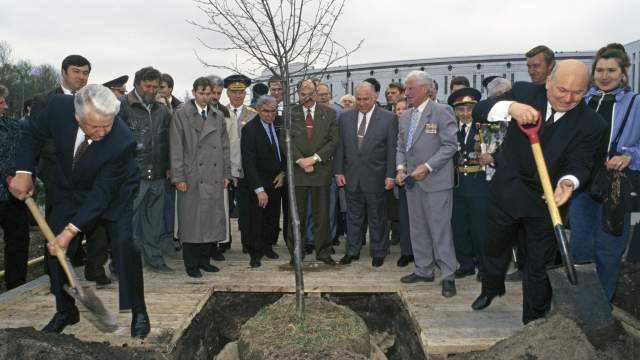 Борис Ельцин и Юрий Лужков садят дерево у Мемориала на Поклонной горе, 1994 год