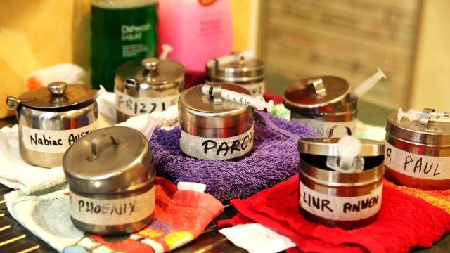 Госпиталь для коал в Австралии