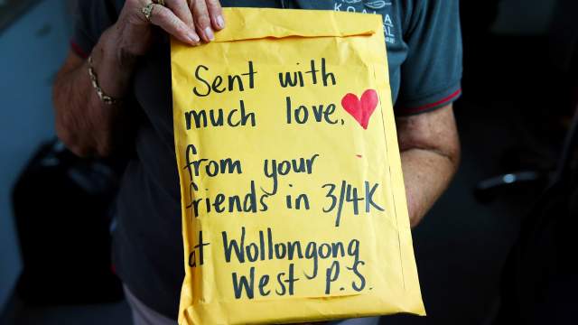 Госпиталь для коал в Австралии