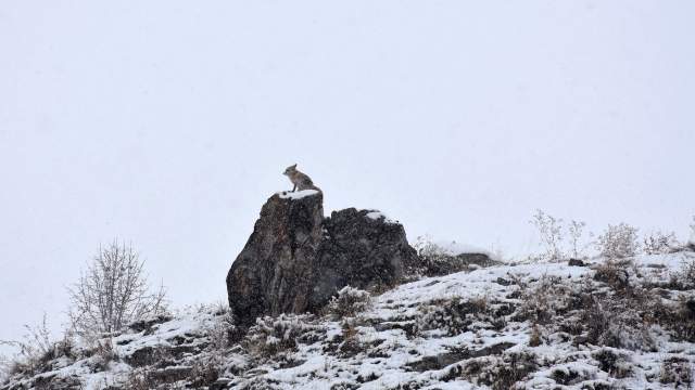 Зима в Турции