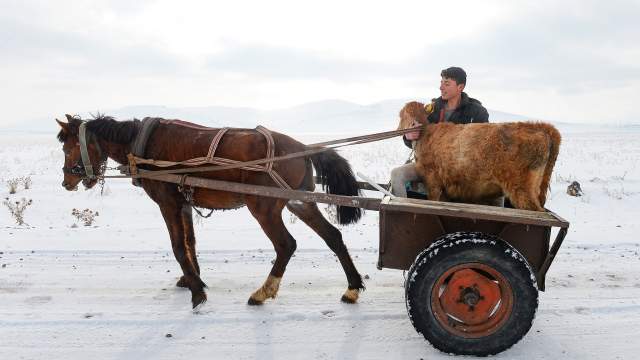 Зима в Турции