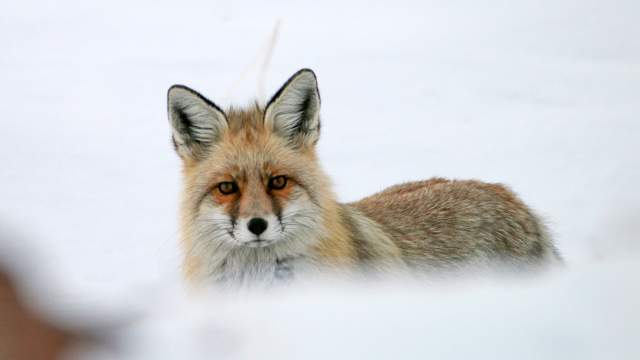 Зима в Турции