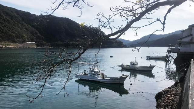 Остров Сакицу