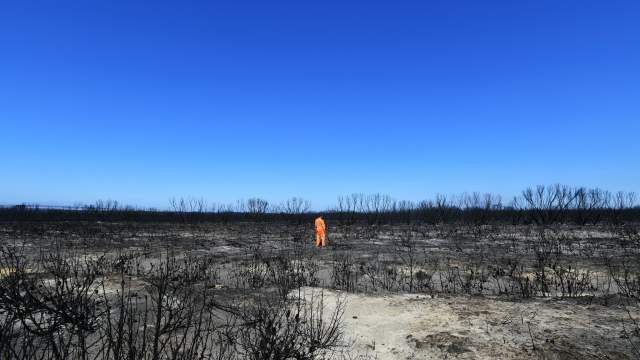 Лесные пожары в Австралии