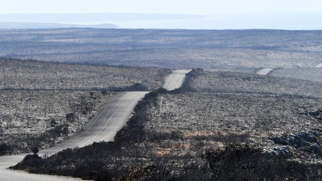 Лесные пожары в Австралии
