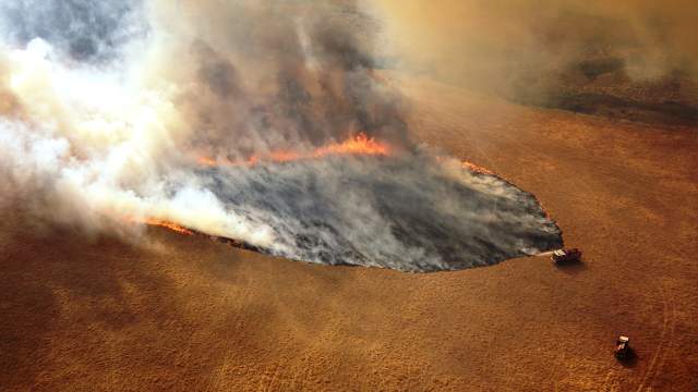 Лесные пожары в Австралии