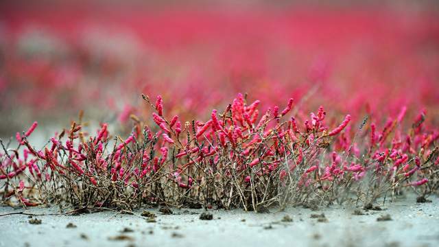 Озеро Кояш в Опукском природном заповеднике Крыма
