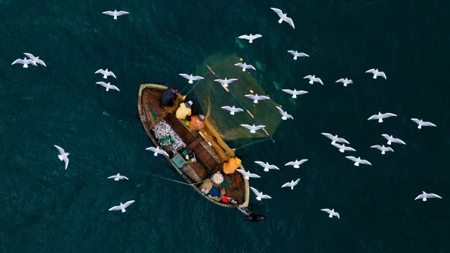 Рыбаки во время прибрежного лова черноморской рыбы в Севастополе
