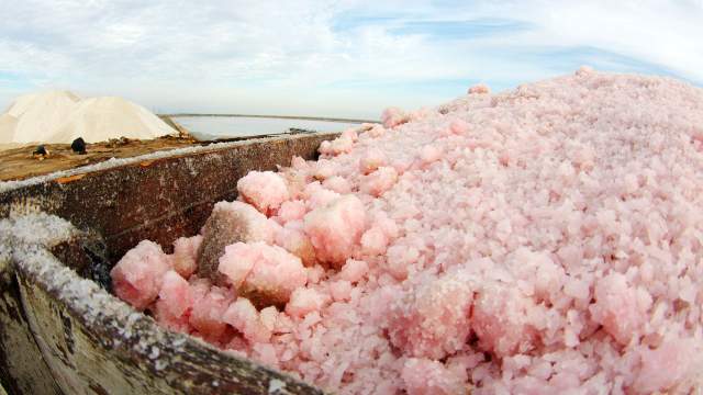 Добыча морской соли садочным способом в бассейне озера Сасык-Сиваш возле Евпатории