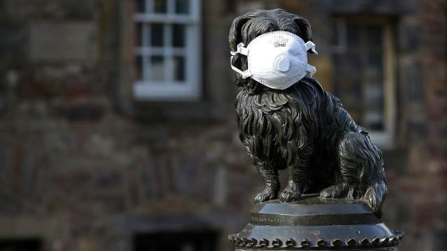 Коронавирус в Великобритании