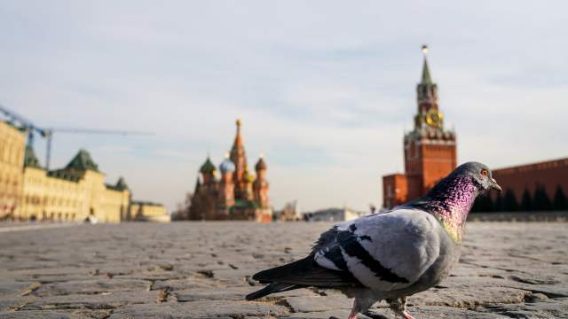 Москва на карантине