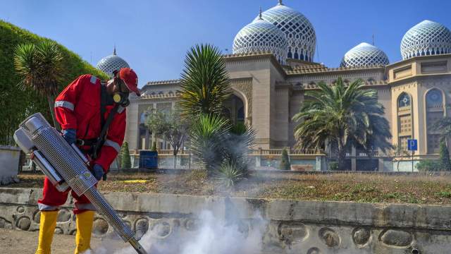 Дезинфекция мира