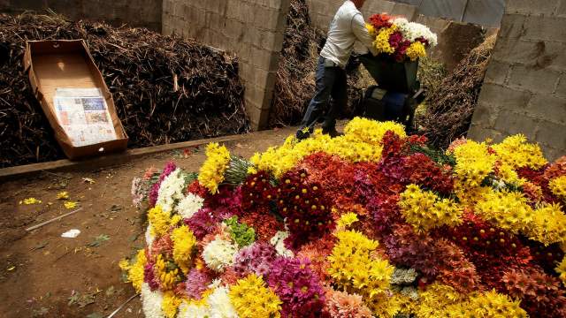 Уничтожение цветов на продажу